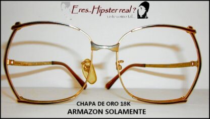 Autenticas Gafas Vintage /, Sol Optics, Chapa Oro 18k - Image 9