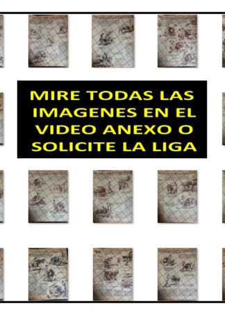 75 FOTOGRABADOS TAURINOS DE BENITO VAZQUEZ 1953-4 A ESCOJER