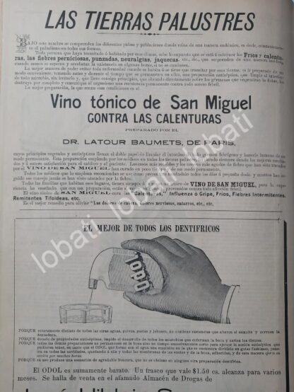 CARTEL ANTIGUO ORIGINAL DE VINO TONICO DE SAN MIGUEL Y OTROS 1899 /611