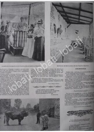 CARTEL ANTIGUO ORIGINAL DE FERIA Y EXPOSICION GANADERA Y AGRICOLA EN COYOACAN 1897