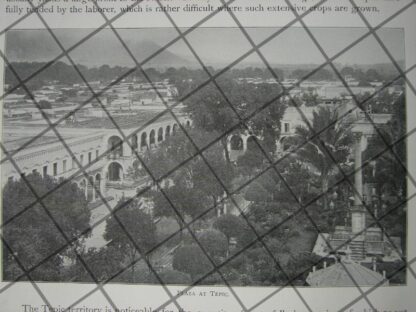 AFICHES ANTIGUOS TERRITORIO DE TEPIC Y LEOPOLDO ROMANO 1897 - Image 3