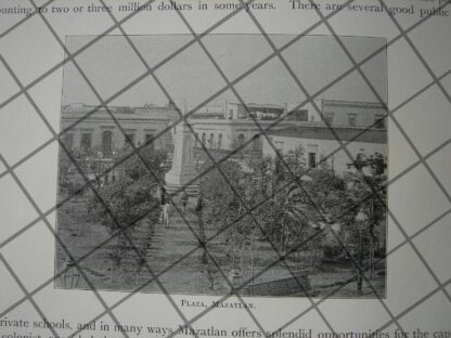 AFICHES ANTIGUOS ESTADO DE SINALOA Y FRANCISCO CAÑEDA 1897 - Image 5