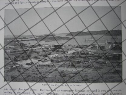 AFICHES ANTIGUOS EL ESTADO DE SONORA 1897 - Image 5