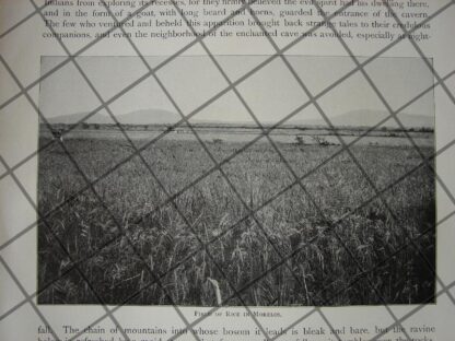 AFICHES ANTIGUOS ESTADO DE MORELOS Y MANUEL ALARCON 1897 - Image 6