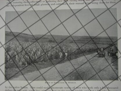 AFICHES ANTIGUOS ESTADO DE MORELOS Y MANUEL ALARCON 1897 - Image 8