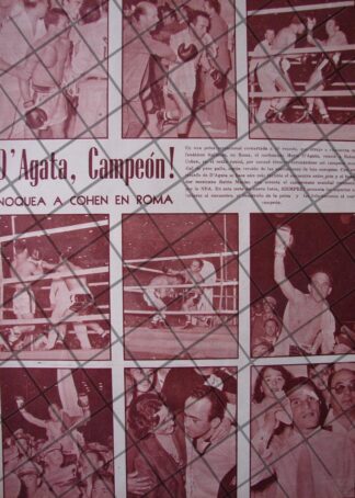 AFICHE RETRO, BOXEADOR. MARIO D`AGATA Vs ROBERT COHEN