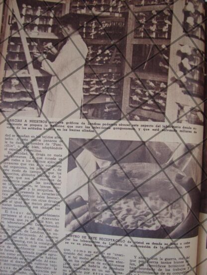 AFICHE RETRO ALEXANDER FLEMING DESCUBRE PENICILINA 1944 - Image 2