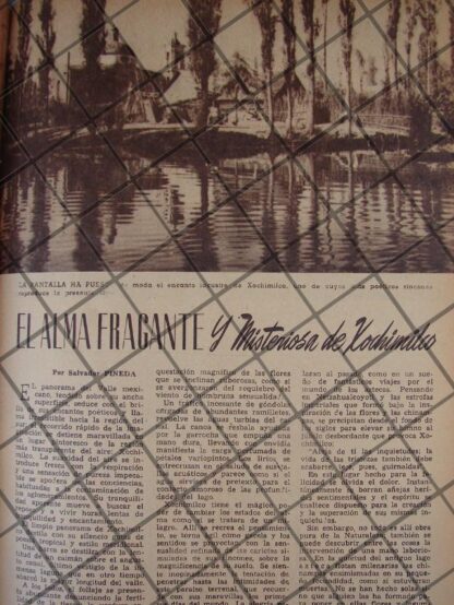 AFICHE ANTIGUO. XOCHIMILCO, SUS LUGARES Y SU GENTE 1944 - Image 2