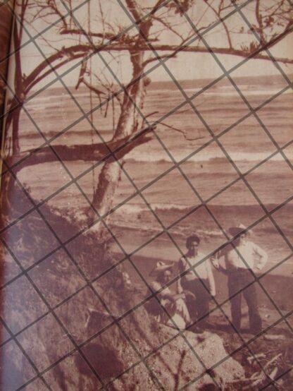 AFICHE ANTIGUO PLAYA LA MANCHA, VERACRUZ 1944 - Image 2