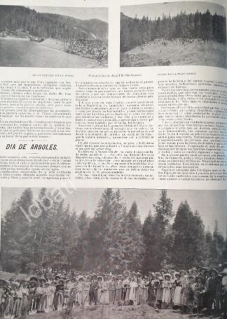 CARTEL ANTIGUO ORIGINAL DE FIESTA DE ARBOLES EN PACHUCA 1898 REFORESTACION