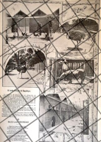 AFICHE ANTIGUO EL ZOOLOGICO DE CHAPULTEPEC 1906 /RARO