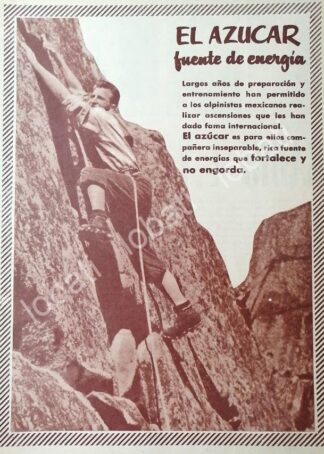 CARTEL ANTIGUO ORIGINAL DE CAMPAÑA NACIONAL DE CONSUMO DE AZUCAR 1955 / 398