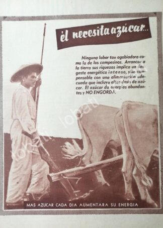 CARTEL ANTIGUO ORIGINAL DE CAMPAÑA NACIONAL DE CONSUMO DE AZUCAR 1955 / 388