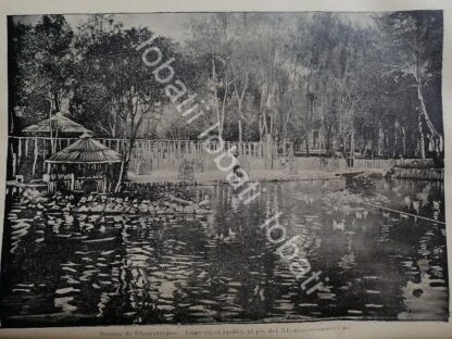 GRABADO ANTIGUO 1895 BOSQUE DE CHAPULTEPEC /LDM - Image 3