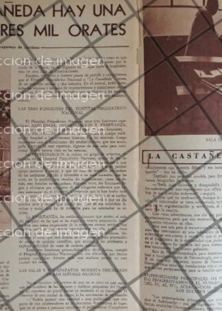 AFICHE ANTIGUO MANICOMIO LA CASTAÑEDA 1953