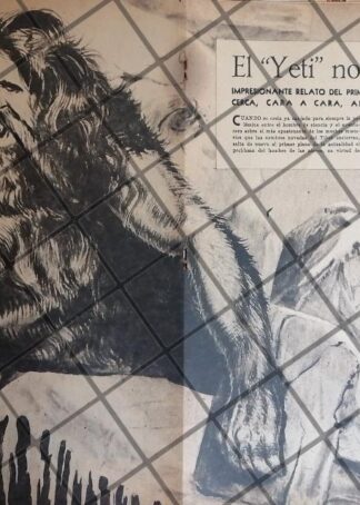 AFICHE ANTIGUO AVISTAMIENTO DE PIE GRANDE (YETI) 1956