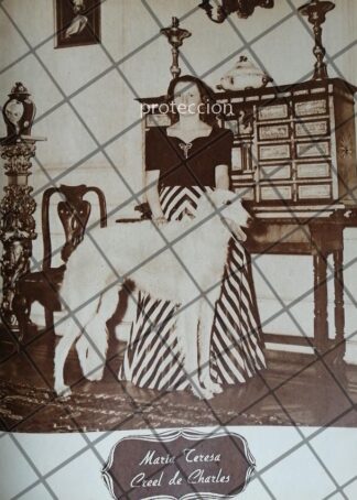 AFICHE ANTIGUO. MARIA TERESA CREEL DE CHARLES