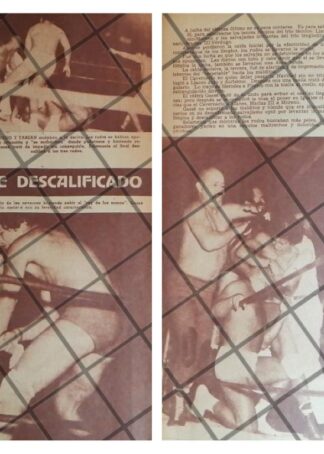 AFICHE RETRO LUCHA LIBRE CAVERNARIO, VERDUGO, GORILA MACIAS 3