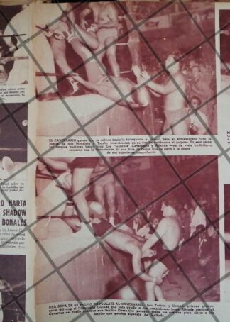 AFICHE RETRO LUCHA LIBRE TARZAN LOPEZ, BLACK SHADOW ETC -49