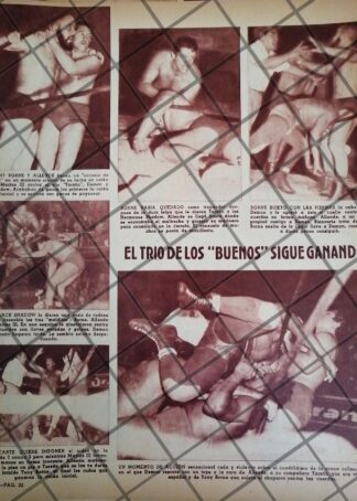 AFICHE RETRO LUCHA LIBRE TONY BORNE, BLACK SHADOW Y OTROS