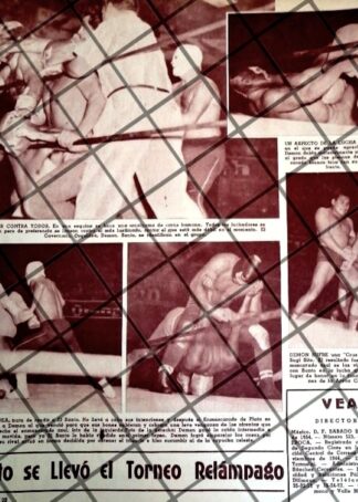 AFICHE RETRO LUCHA LIBRE EL SANTO, ORQUIDEA, SUGI SITO ETC