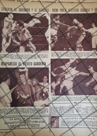 AFICHE RETRO LUCHA LIBRE EL SANTO, GARDENIA, CAVERNARIO
