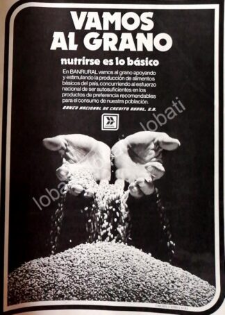 CARTEL ANTIGUO ORIGINAL DE BANCO BANRURAL 1981 /123